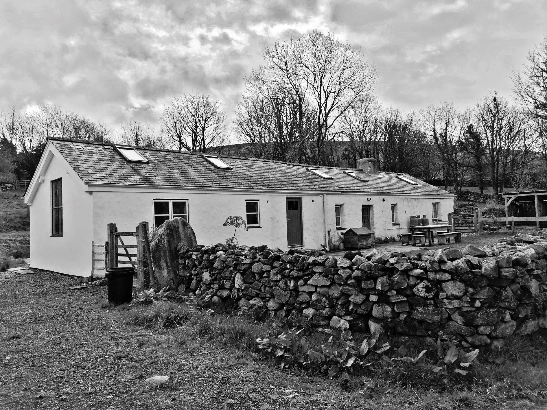 bleakness + beauty [in north wales]